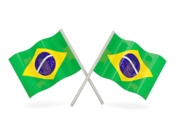 Whois reverse phone lookup for Brazil