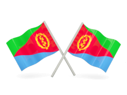 Whois reverse phone lookup for Eritrea