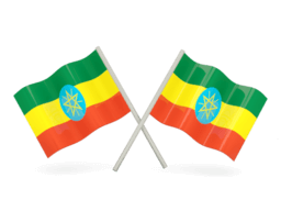 Whois reverse phone lookup for Ethiopia