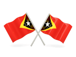 Whois reverse phone lookup for Timor-Leste