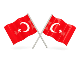Whois reverse phone lookup for Turkey