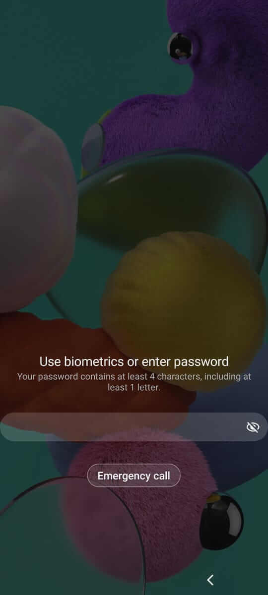 How to Set Password